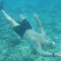 Wayne Stollery (@wstollery) 's Twitter Profile