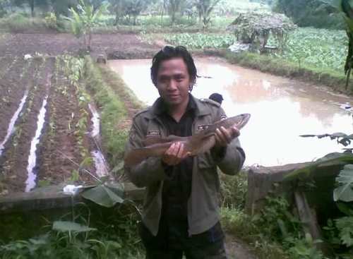 DrajatAjat's profile picture. Biasa saja orangnya..