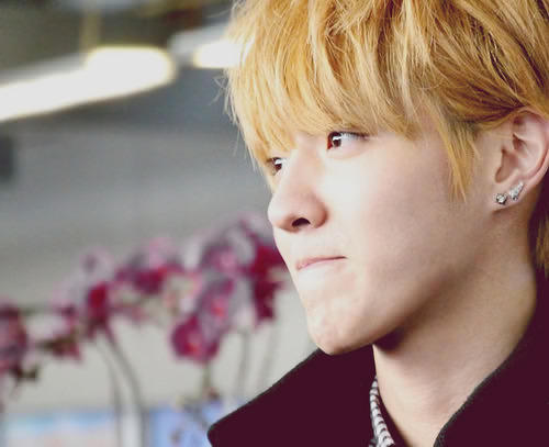 ขอผมเป็นผู้ชายกลางๆ ของคุณได้ไหม ? ♥ 「น้องเอซ☀」thx for support ÈXŌ ! ● ยินดีต้อนรับเข้าสู่ kris's heaven ♥