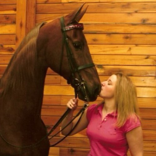 Big dreams, nice horses, expensive taste
#mylifeinshambles adventures of an accidental adult.