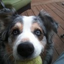 Mark Jeffs - @MarkSJeffs - Twitter