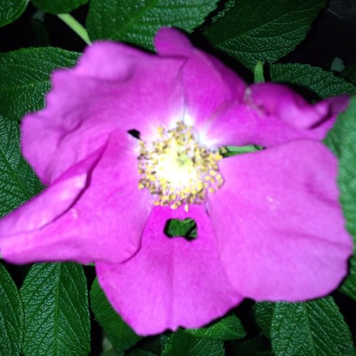 Suul75's profile picture. Gamer and geek; proud member of D20 Radio's Gamer Nation