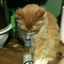 todd lambrecht - @lambrechttodd - Twitter