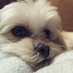 Kathy Burris (@kathy_burris) Twitter profile photo