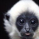 Declan Marshall - @Sockmonkey417 - Twitter