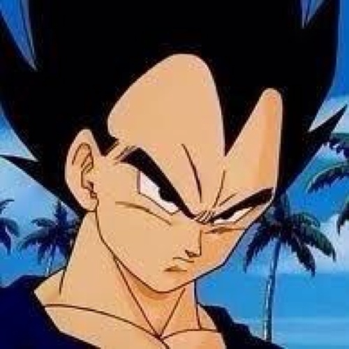 The Prince Of All Saiyans! Yes that's me. Do I need to tell you again? I'm not afraid to jam it in your thick skull! My goal is to surpass that clown Kakarot!