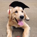 Hattie May - @Hattie__May - Twitter