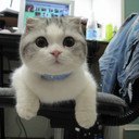 Chad Wooten - @this1is1chad - Twitter