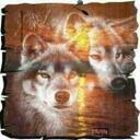 Terri OBrien - @jusmenozzie - Twitter