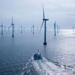 gocleangreen's profile picture. 