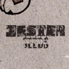 a small bar | monday: closed | tuesday - saturday: 4pm-midnight | sunday: 4pm-10pm | info@jesterseeds.com | +61 (02) 9557 7008