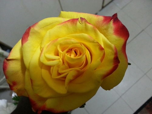 dayzbug's profile picture. Life is short... Be kind to your fellow humans. Smile awhile!