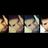 donnesevio's profile image