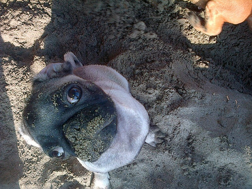 mabelenMBC's profile picture. JuanJoaMen♥Uliii                          ★mafy★