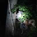 aaron tipton - @tiptonaaron27 - Twitter