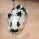 Rita Bates Novelo - @batesritiux - Twitter