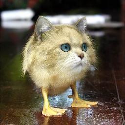 適当に呟く