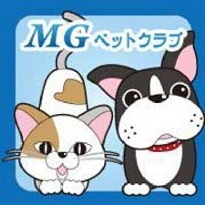 メノガイアペットクラブ シャ乱q まこと 富永美樹 夫婦で 伊豆半島 戸田 に移住 メノガイアペットクラブ 情報局 Http T Co 2hfcrhiq4c