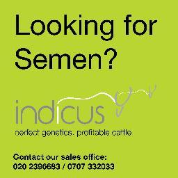 Indicus deals in Biotechnology- importing bovine semen and embryo from Scandinavia to provide farmers with quality genetics at reasonable prices