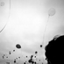 carbonpoppies (@carbonpoppies) Twitter profile photo carbonpoppies (@carbonpoppies) Twitter profile photo