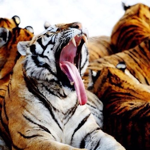 _bobader's profile picture. رصد اهم المعلومات واعادة نشرها