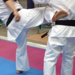 robotnews1969's profile picture. フルコンタクト空手道場です。 宝道場稽古     
    南区宝生町宝コミニティーセンター 土曜日１８時３０分より（小学生以下） 土曜日１９時３０分より一般稽古