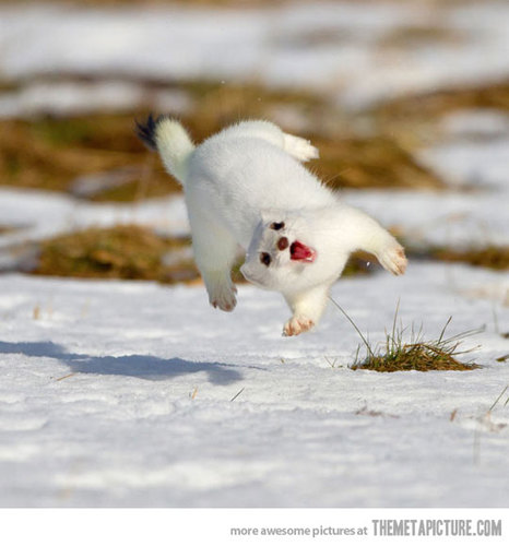 spanking_weasel's profile picture. Sinner, crumpet guzzler, LGBT, NO DM'S pls