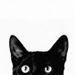 QueSeCuece1's profile picture. Atento a las últimas noticias, últimas tendencias y últimas llamadas para traértelo todo y que tú solo tengas que disfrutar de las vistas.