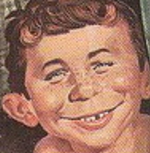 peterstevens241's profile picture. 