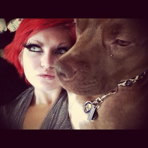♥ My Pit Bulls, Pit Mix, Staffy Bull, Peke and Tibbie ♥