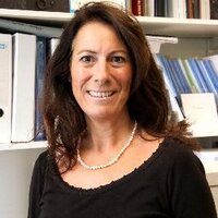 nicola lowe (@nicolalowezinc) Twitter profile photo
