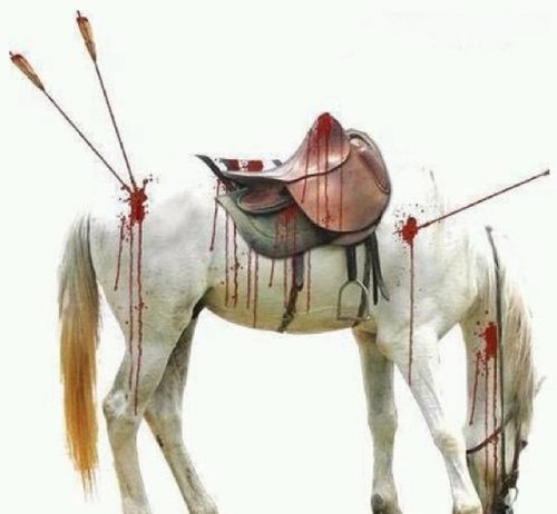 noor20129's profile picture. 