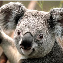 junzhangtkd's profile picture. 心理需有我而忘我而无我