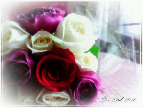 Mrs. Fatoni | Owner @hiQids | Moslem | Blog-Writer | Public Relations graduate