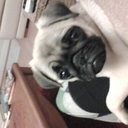 caroline appleby - @ApplebyCaroline - Twitter