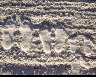 Annepie's profile picture. 