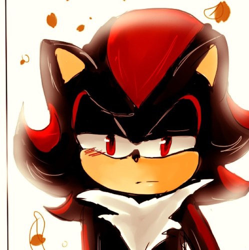 i am shadow the hedgehog. the ultimate lifeform...This is just what you must to know...hmph...also don't mess with me or you will die...Begone!