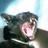 nzo33's profile image