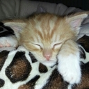 Ian Macpherson - @ianmacp1964 - Twitter