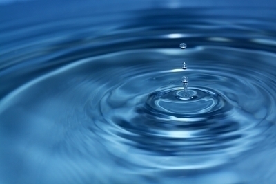 gillibranding's profile picture. Watching tried & true Mktg & Advtg branding techniques applied to NY Senator Kirsten Gillibrand to maintain national awareness. gillibranding@wordpress.com