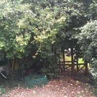 Mark (@markml) 's Twitter Profile