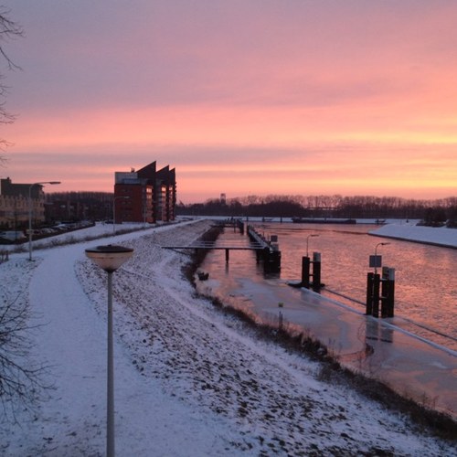 hartslag's profile picture. 