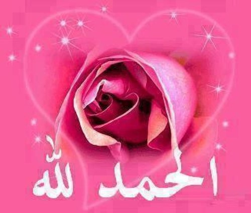 - آلآحٺرآم ھۆ اجمل مآيَترگہ الإنسان فِي قلوب الآخريّن حتى بعد رحيلهہ . . ♡                    