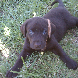 EdWohlford's profile picture. I follow  Sports, Politics, and Pop Culture. Chargers belong in San Diego!  #BlackLivesMatter #Resistance #AlwaysVoteBLUE! No DMs please! #StillwithHER