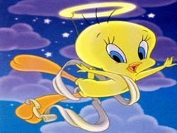 Shortbread101's profile picture. 