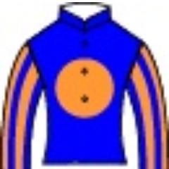 Recluse; Male, Born in 1984. This icon; racing silks of Mr. Michael Tabor. A rolling stone gathers no moss. Investment, Economic News, Payment, Scholarship, etc