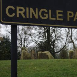 focringlepark's profile picture. 