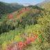Wasatch Mountain SP (@wasatchmountain) Twitter profile photo Wasatch Mountain SP (@wasatchmountain) Twitter profile photo