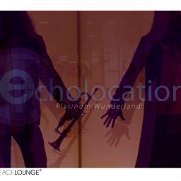 Echolocation Sound Navigation System