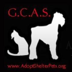 Guilford County Animal Shelter, we are devoted to providing a better life for homless pets and finding there forever home, GCAS come Adopt Your Next Best Friend